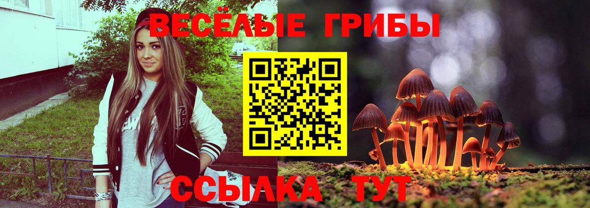 Тольятти  Галлюциногенные грибы GOLDEN TEACHER  Вход с VPN  Галлюциногенные грибы GOLDEN TEACHER 